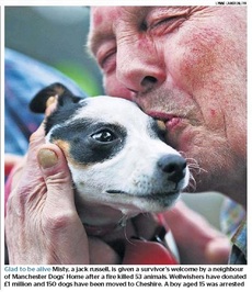 Times dog coverage