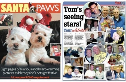 Santa Paws & Tom's seeing stars
