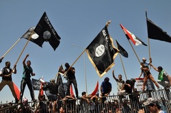 Islamic state militants